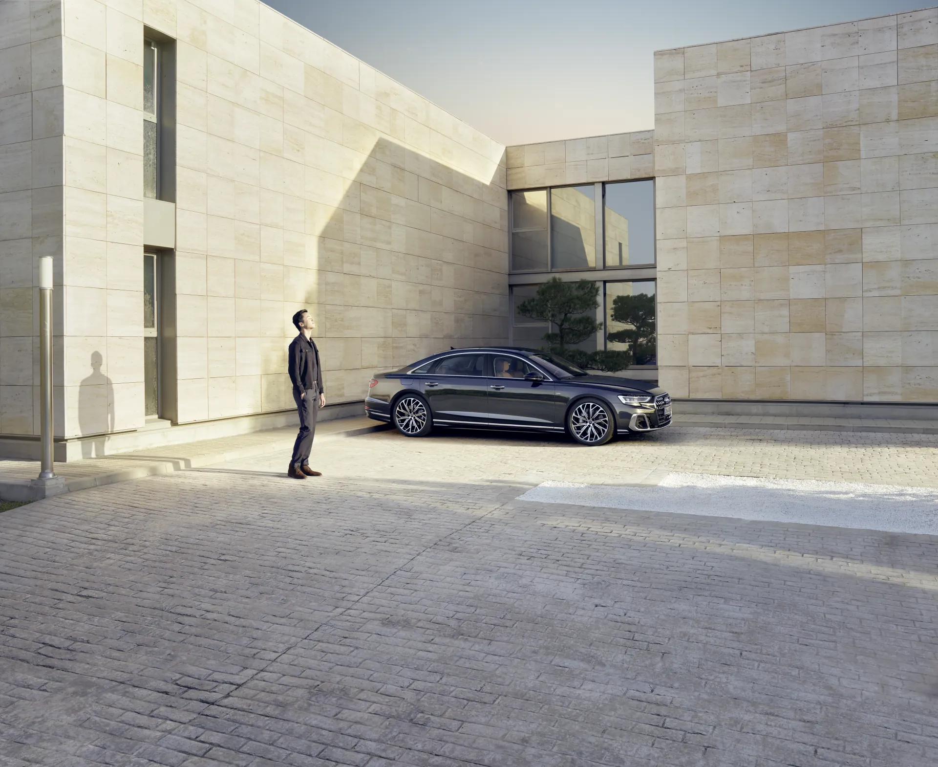 Audi A8 L - Ảnh 6