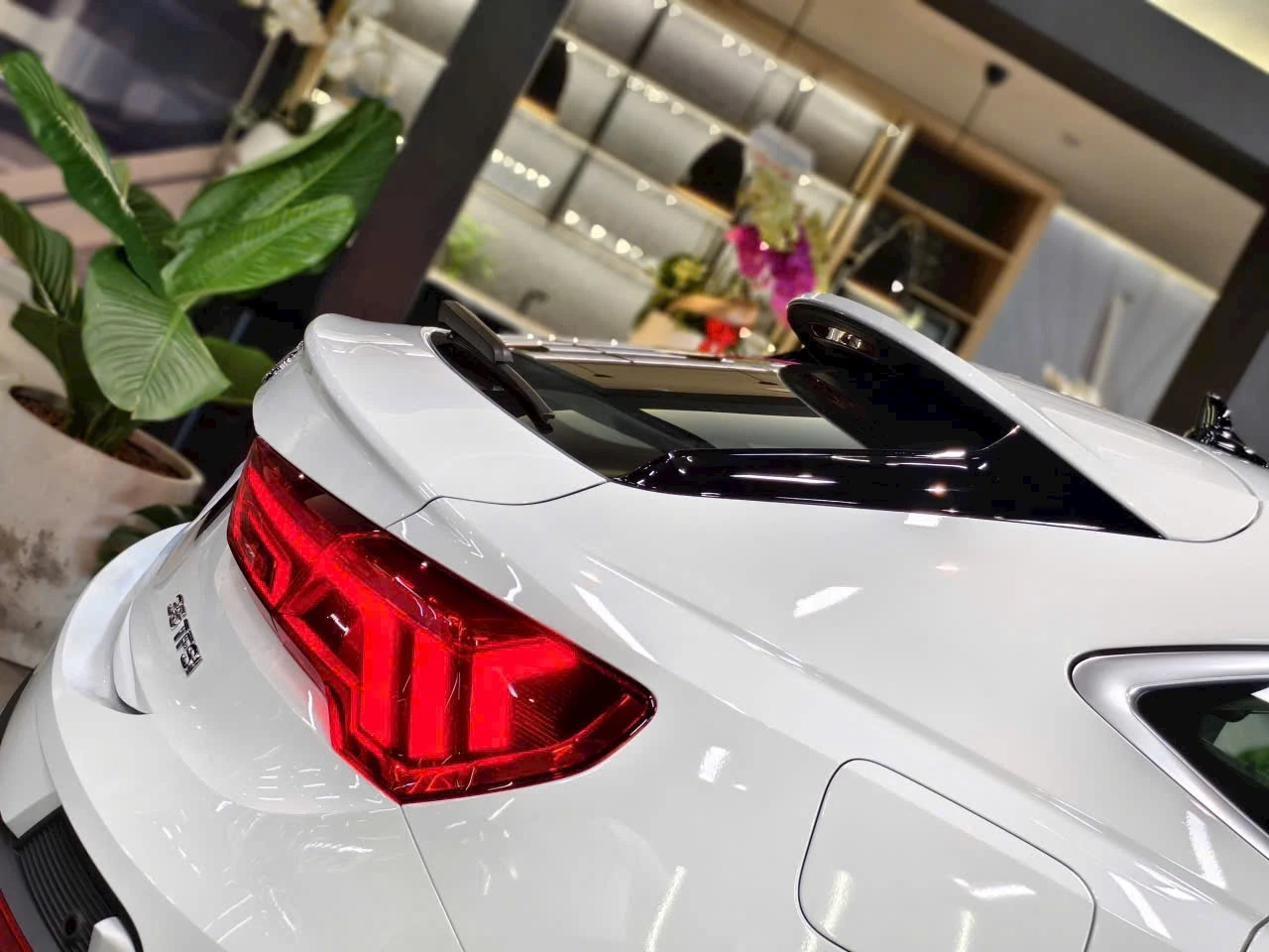 Audi Q3 SUV - Ảnh 14