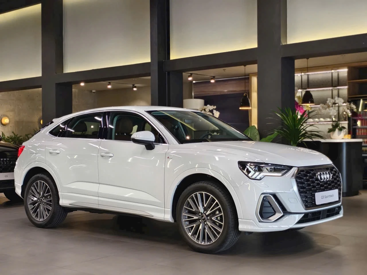 Audi Q3 SUV - Ảnh 19